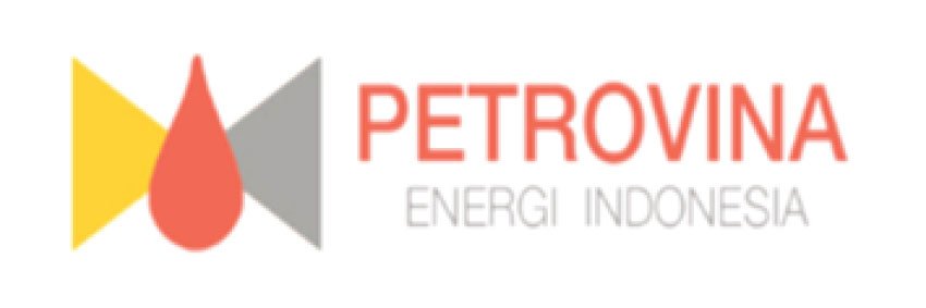 Petrovina Energy